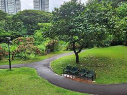 jalan-bukit-merah photo thumbnail #1